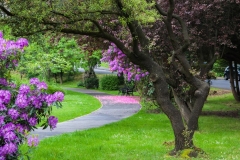 Photograph by Janie Meikle Bland