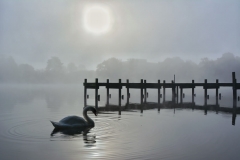 Photograph by Sarah Wright