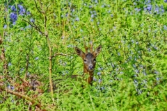 Photograph by Sarah Wright
