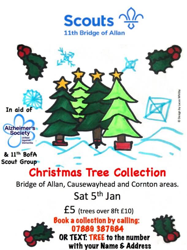 Scout Christmas Tree Collection Bridge of Allan Community Council