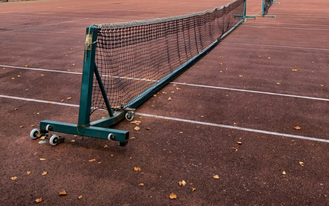September News – Woodland creation and Tennis courts
