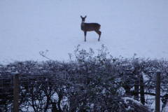 Photograph by Sandi Grieve