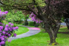 Photograph by Janie Meikle Bland