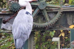 Photograph by Anne Andrew