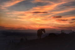 Photograph by Sarah Wright