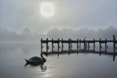 Photograph by Sarah Wright