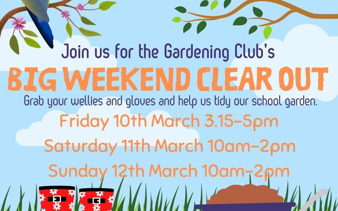 BofA Primary Big Weekend Clear Out